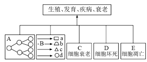 图片_x0020_100003