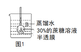 图片_x0020_1985187556