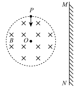 图片_x0020_100011