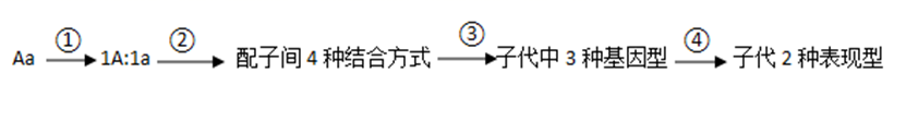 图片_x0020_100004
