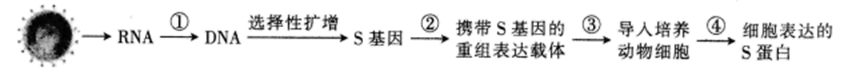 图片_x0020_100005