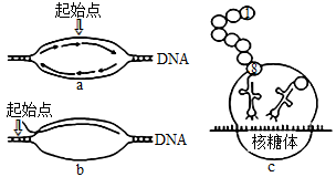 图片_x0020_53728903