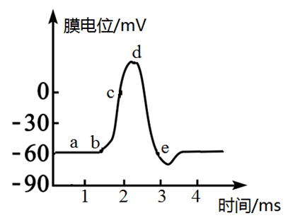 图片_x0020_100001