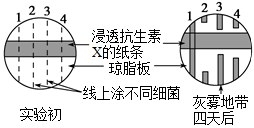 图片_x0020_100011