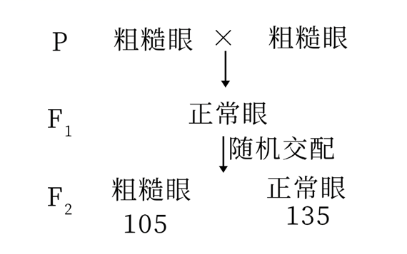 图片_x0020_1021768520