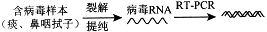 图片_x0020_100009