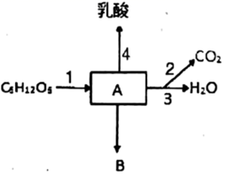 图片_x0020_100009