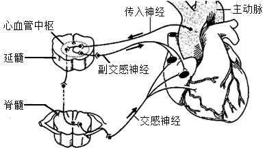 图片_x0020_1345788657