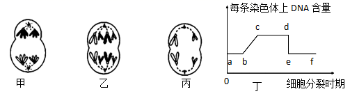 图片_x0020_1150480448