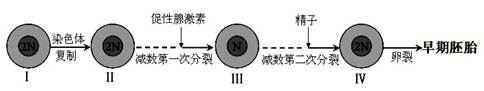 图片_x0020_100006