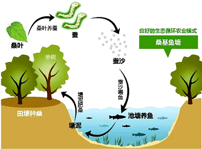 图片_x0020_100013