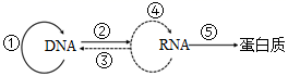 图片_x0020_1780460501