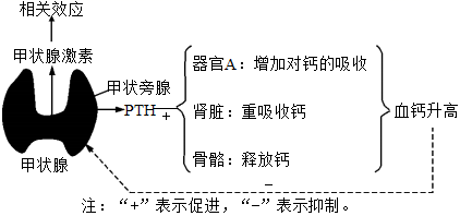 图片_x0020_100004