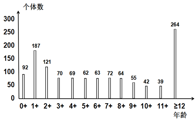 图片_x0020_100006