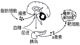图片_x0020_100009