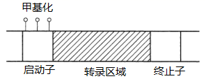 图片_x0020_100003