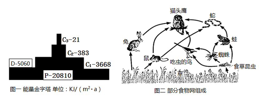 图片_x0020_100011