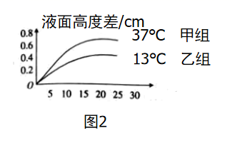 图片_x0020_100002