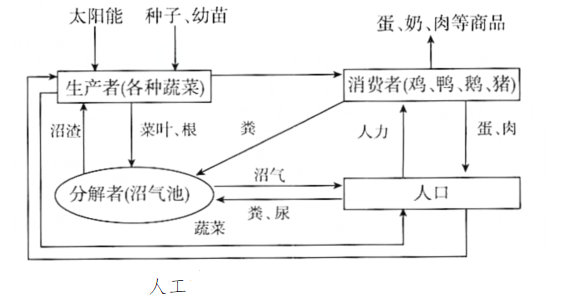 图片_x0020_100012