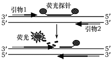 图片_x0020_100010