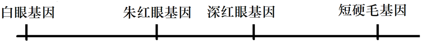 图片_x0020_100004