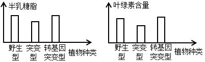 图片_x0020_1540730180