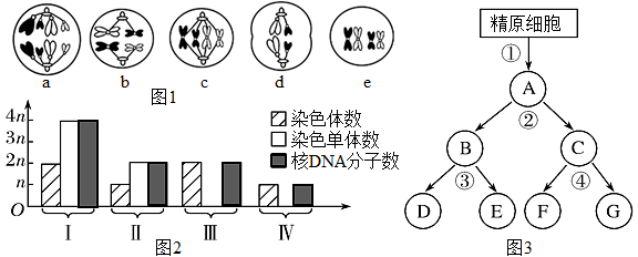 图片_x0020_100012