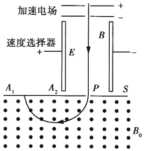 图片_x0020_100021