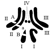 图片_x0020_100003
