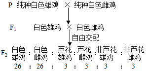 图片_x0020_120048905