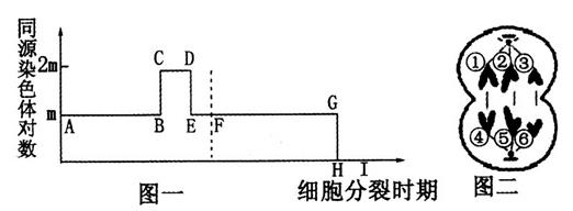 图片_x0020_100002