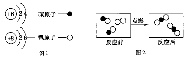 图片_x0020_100008