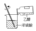 图片_x0020_100001
