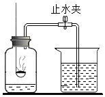 图片_x0020_1186619572