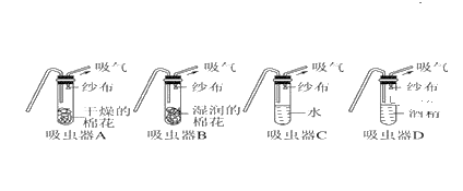 图片_x0020_1697720088