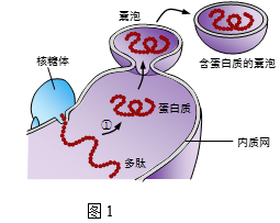 图片_x0020_100017