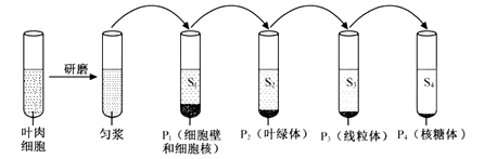 图片_x0020_100004