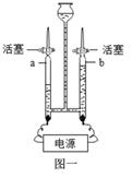 图片_x0020_100026