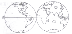 图片_x0020_0