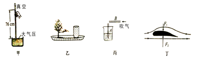 图片_x0020_100001