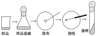 图片_x0020_100009
