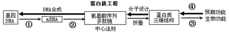 图片_x0020_1534717222