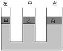 图片_x0020_100013