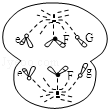 图片_x0020_1314137784