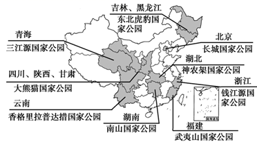 图片_x0020_100010