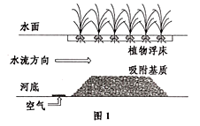 图片_x0020_100010