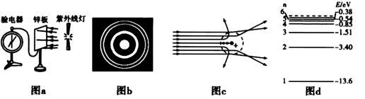 图片_x0020_100012