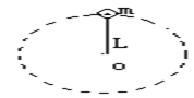 图片_x0020_100002