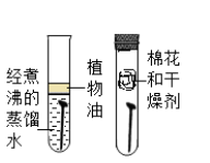 图片_x0020_1138237604