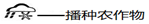 图片_x0020_1484834948